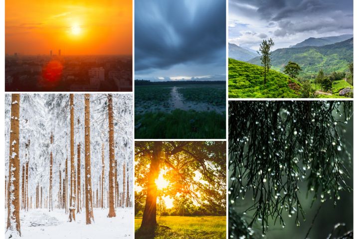 Best Time to Visit Rajasthan: Season-Wise Travel Guide