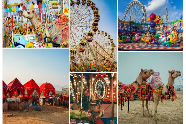 Pushkar Camel Fair 2025 – Dates, Venue and Importance